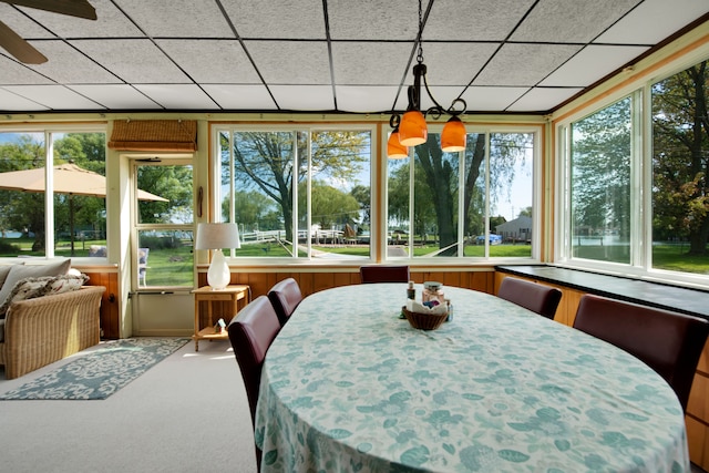 sunroom with carpet flooring and a drop ceiling