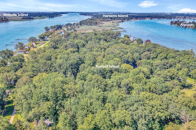 view of property location featuring a large body of water and a heavily wooded area