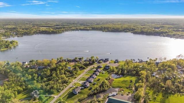 3582 Pratt Dr, Lapeer, MI 48446 - aerial view of property's location with a nearby body of water and a heavily wooded area