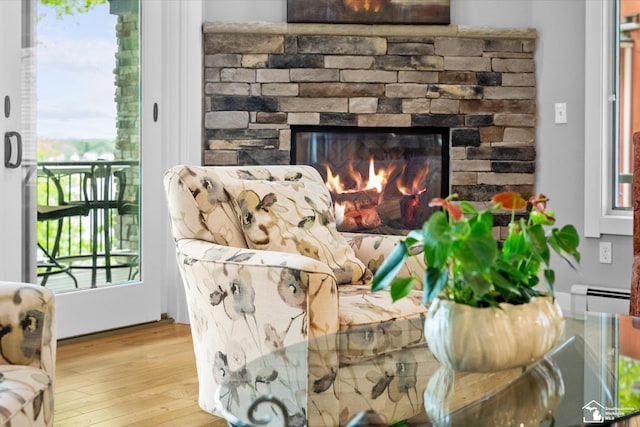 2307 Tecumseh Dr, Brooklyn, MI 49230 - detailed view of a baseboard radiator, a fireplace, and wood finished floors