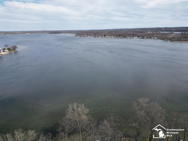 2307 Tecumseh Dr, Brooklyn, MI 49230 - water view