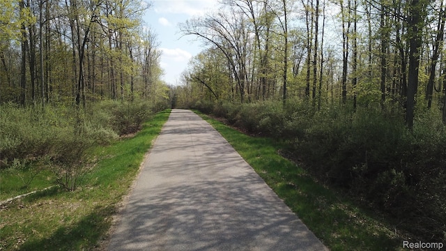 00 Oak Ridge Ct, Mills, MI 48756