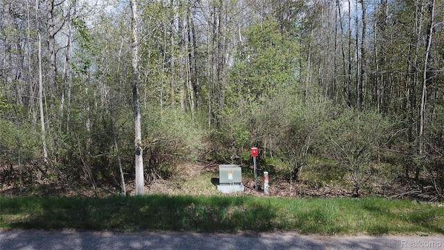 00 Oak Ridge Ct, Mills, MI 48756