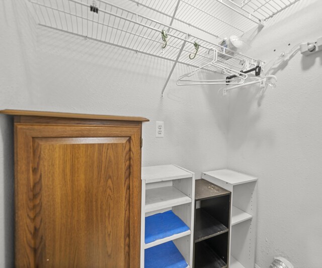 1379 Millbrook Trl, Ann Arbor, MI 48108 - view of walk in closet