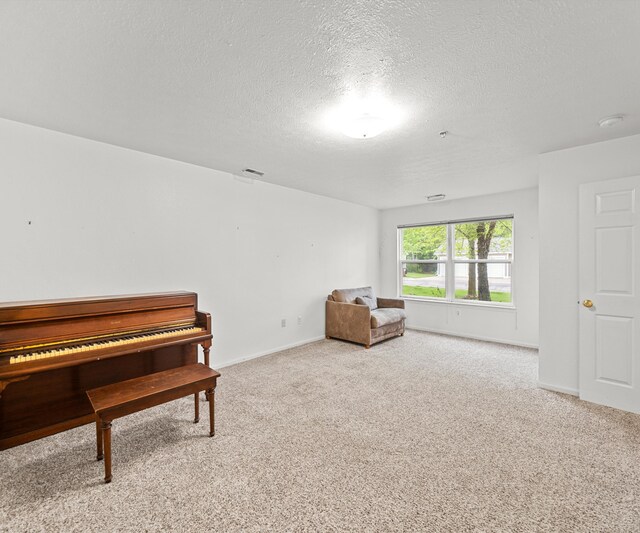 1379 Millbrook Trl, Ann Arbor, MI 48108 - sitting room with carpet floors, baseboards, and a textured ceiling