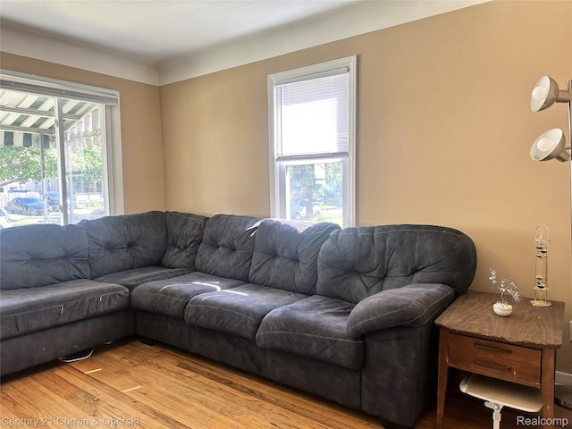 1216 E George Ave, Hazel Park, MI 48030 - living area featuring light wood-type flooring