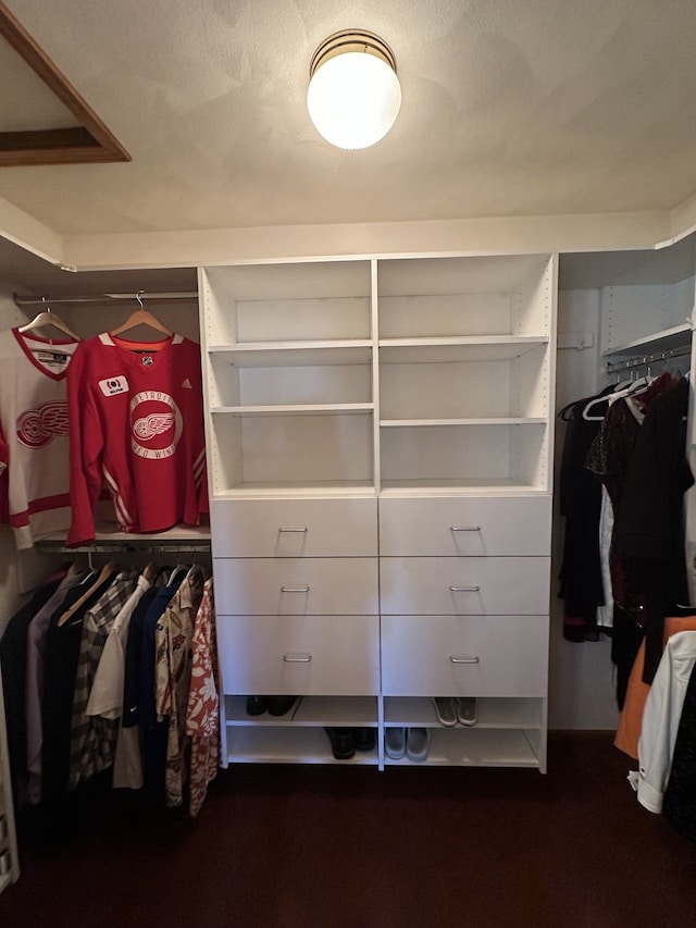 view of walk in closet