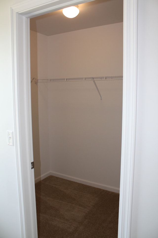 58192 Kincaid St, New Haven, MI 48048 - spacious closet featuring dark carpet