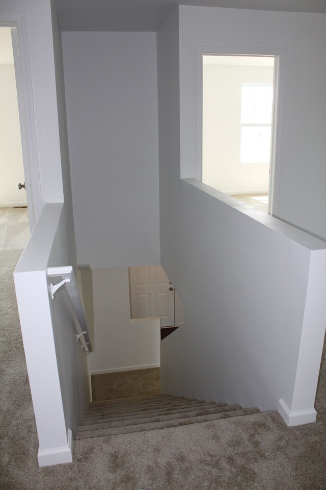 58192 Kincaid St, New Haven, MI 48048 - staircase with carpet floors and baseboards