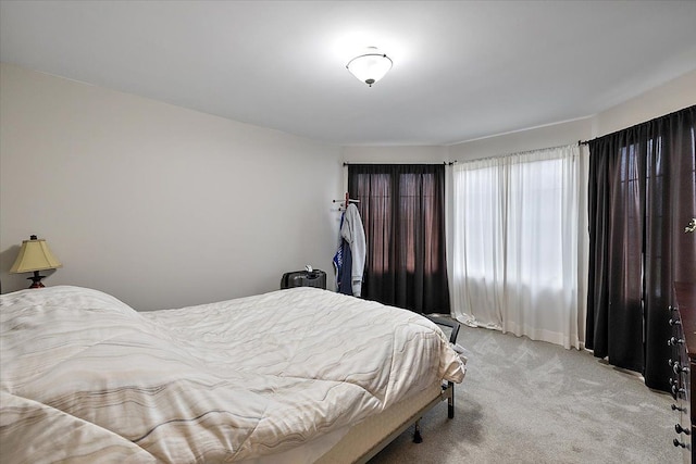 58 Ingram Dr, Troy, MI 48098 - bedroom featuring light carpet