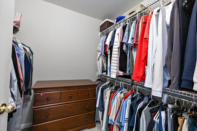 58 Ingram Dr, Troy, MI 48098 - view of spacious closet