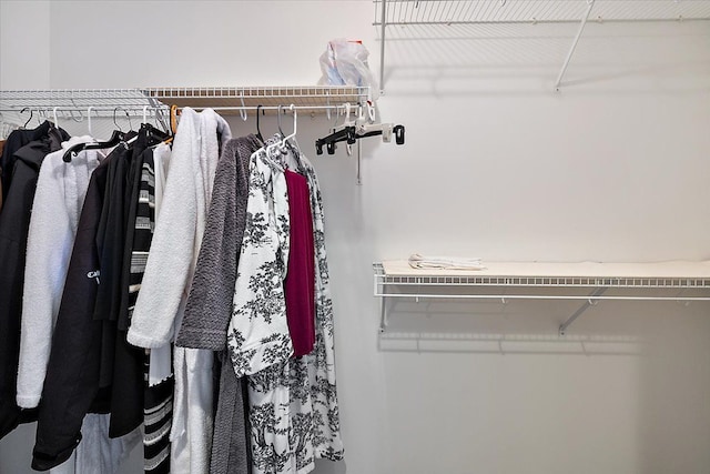 58 Ingram Dr, Troy, MI 48098 - view of walk in closet
