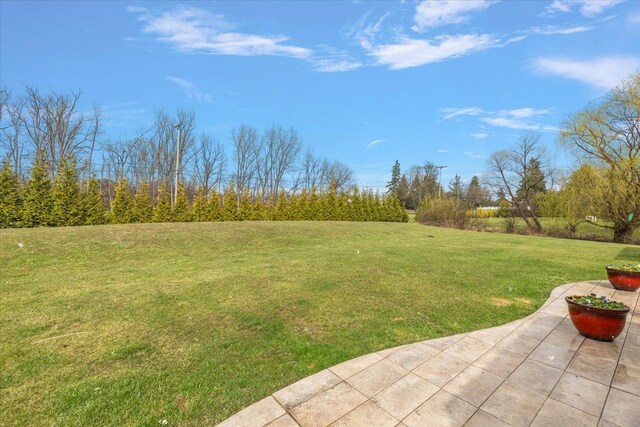 58 Ingram Dr, Troy, MI 48098 - view of grassy yard with a patio