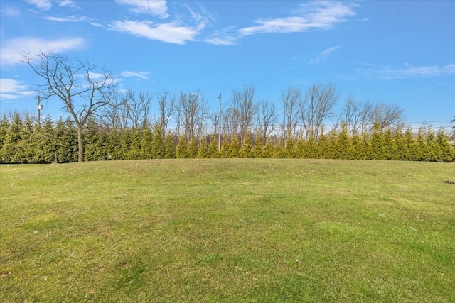 58 Ingram Dr, Troy, MI 48098 - view of green lawn