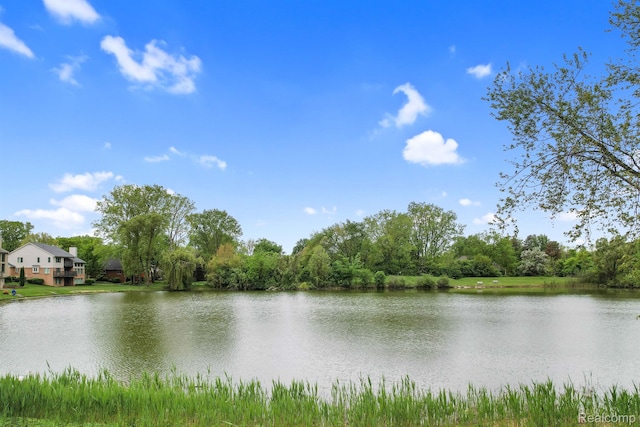 6655 Mountain Dr, Troy, MI 48098 - water view