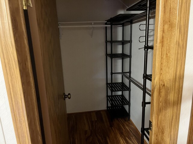 3048 Vineland Ave, Burton, MI 48519 - walk in closet with wood finished floors