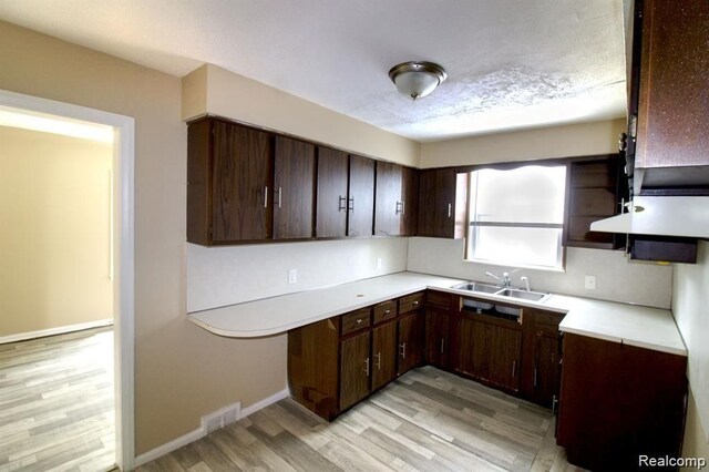 15470 Mapleridge St, Detroit, MI 48205 - kitchen featuring a sink, light wood-style flooring, light countertops, dark brown cabinetry, and baseboards