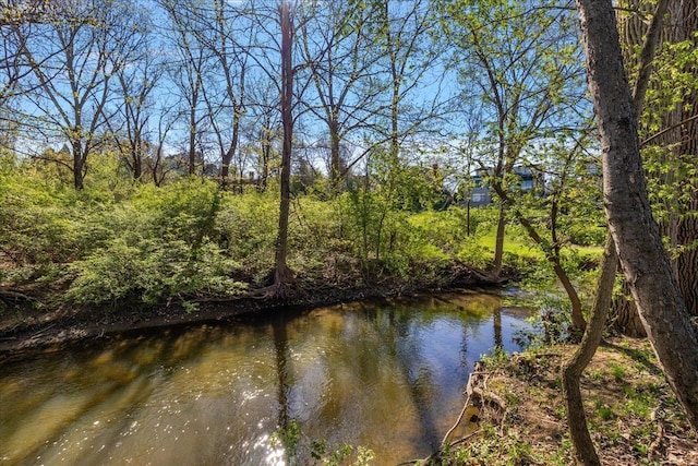 1301 Fairway Dr, Birmingham, MI 48009 - water view