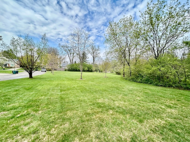 1301 Fairway Dr, Birmingham, MI 48009 - view of green lawn