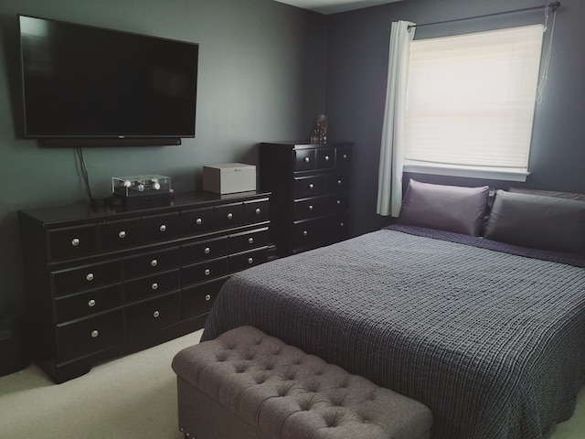 bedroom with carpet flooring