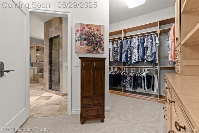 4563 Haverhill, Commerce Twp, MI 48382 - spacious closet featuring light colored carpet