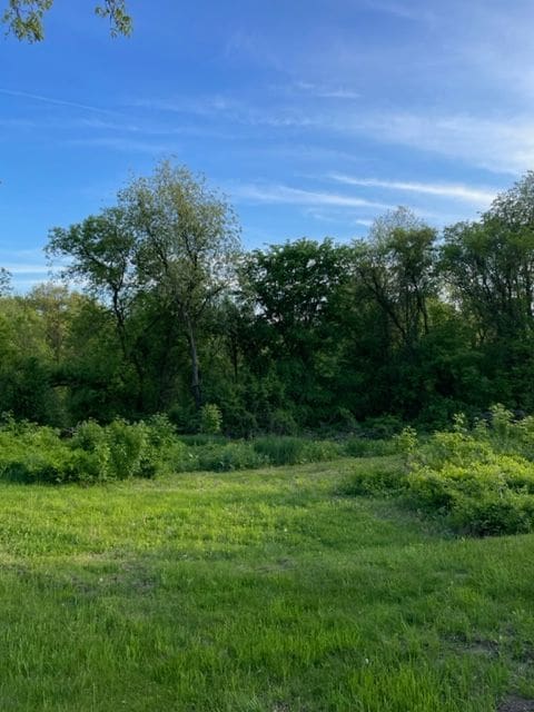 00 Ridgewoode Rd, Clarkston, MI 48346 - view of local wilderness