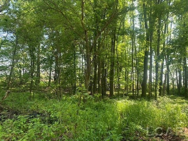 1171 S Rogers Hwy, Palmyra, MI 49268 - view of undeveloped land