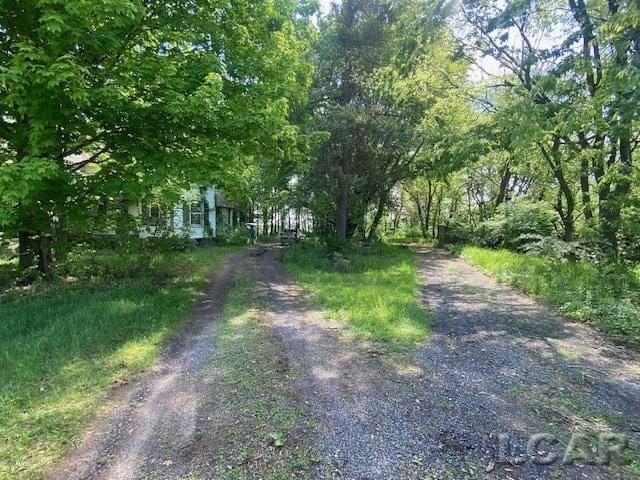 1171 S Rogers Hwy, Palmyra, MI 49268 - view of dirt / gravel road