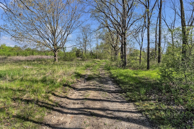 1930 Hogback Rd, Ann Arbor, MI 48105 - view of dirt / gravel road