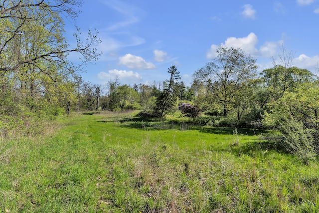 1930 Hogback Rd, Ann Arbor, MI 48105 - view of nature