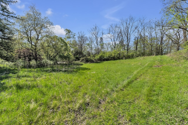 1930 Hogback Rd, Ann Arbor, MI 48105 - view of yard