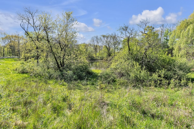 1930 Hogback Rd, Ann Arbor, MI 48105 - view of wooded area