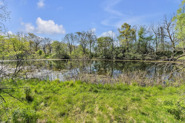 1930 Hogback Rd, Ann Arbor, MI 48105 - water view