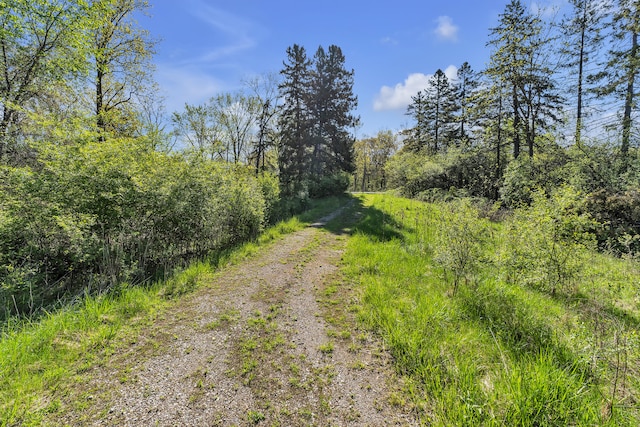 1930 Hogback Rd, Ann Arbor, MI 48105 - view of street with a forest view