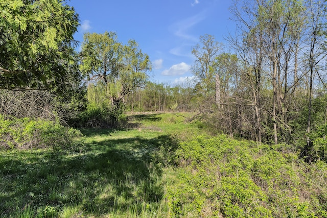 1930 Hogback Rd, Ann Arbor, MI 48105 - view of woods