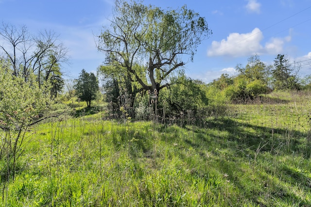 1930 Hogback Rd, Ann Arbor, MI 48105 - view of local wilderness