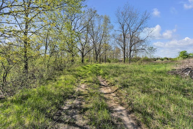 1930 Hogback Rd, Ann Arbor, MI 48105 - view of yard