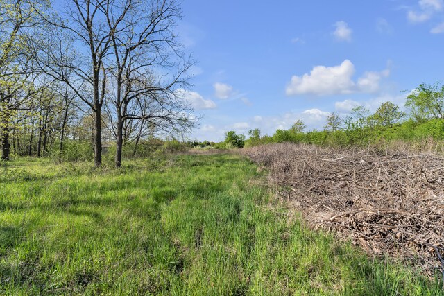 1930 Hogback Rd, Ann Arbor, MI 48105 - view of nature
