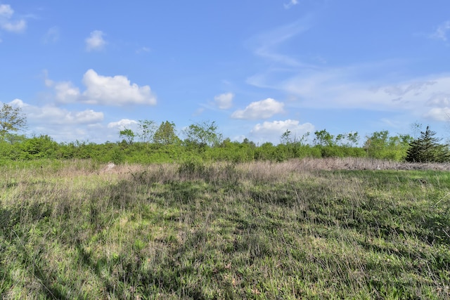 1930 Hogback Rd, Ann Arbor, MI 48105 - view of nature