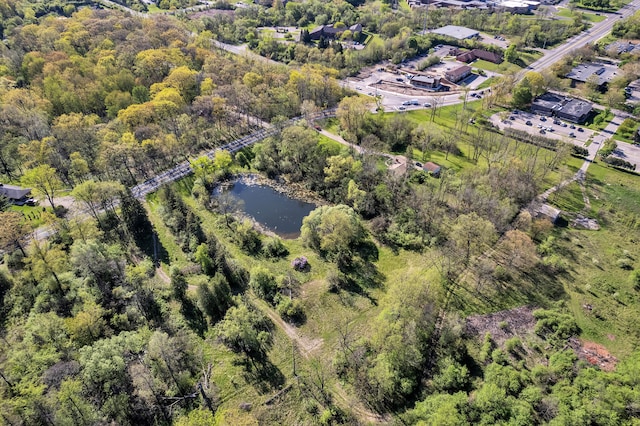 1930 Hogback Rd, Ann Arbor, MI 48105 - bird's eye view of a nearby body of water