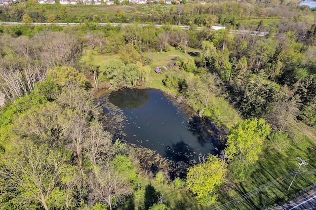 1930 Hogback Rd, Ann Arbor, MI 48105 - bird's eye view of a nearby body of water