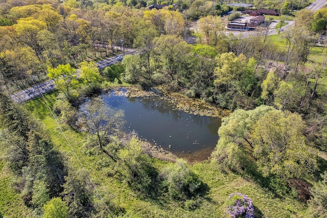 1930 Hogback Rd, Ann Arbor, MI 48105 - drone / aerial view of a large body of water and a heavily wooded area