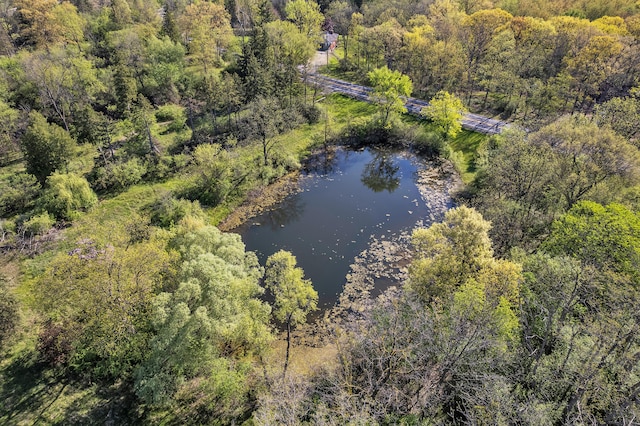 1930 Hogback Rd, Ann Arbor, MI 48105 - bird's eye view of a nearby body of water and a heavily wooded area