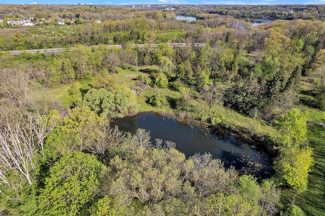 1930 Hogback Rd, Ann Arbor, MI 48105 - aerial view of a forest and a nearby body of water