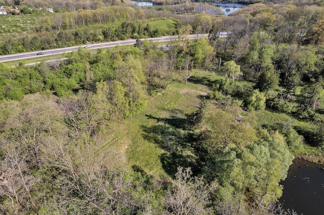 1930 Hogback Rd, Ann Arbor, MI 48105 - bird's eye view of a large body of water