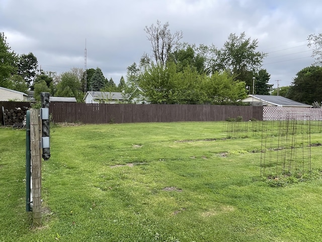 852 Maynard Ave, Jackson, MI 49202 - view of yard