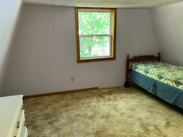 1483 W Bear Lake Rd NE, Kalkaska, MI 49646 - bedroom with carpet flooring