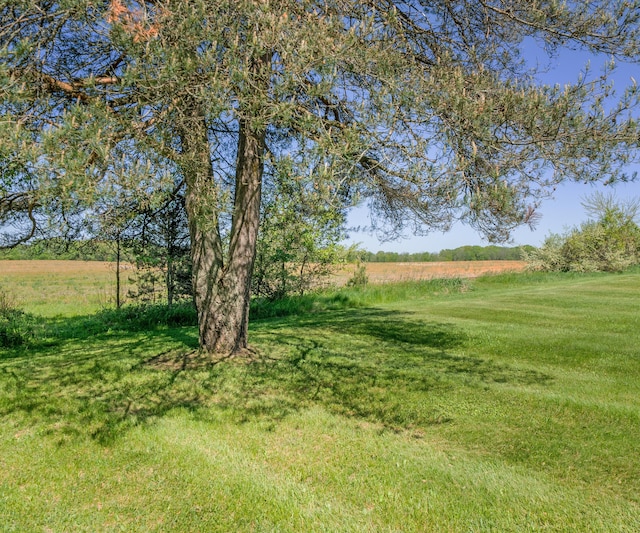 11589 Owosso Rd, Fowlerville, MI 48836 - view of green lawn with a rural view