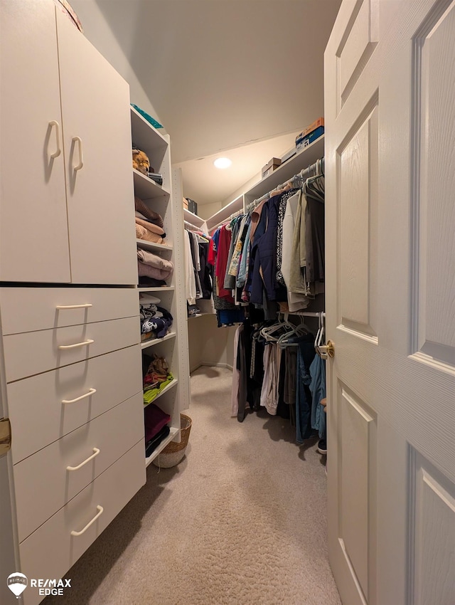 9419 Grandview Ct, Davison, MI 48423 - walk in closet with carpet