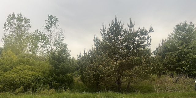 V/L Kingston Rd, Clifford, MI 48727